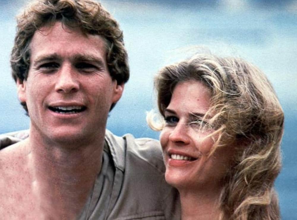 続ある愛の詩の画像