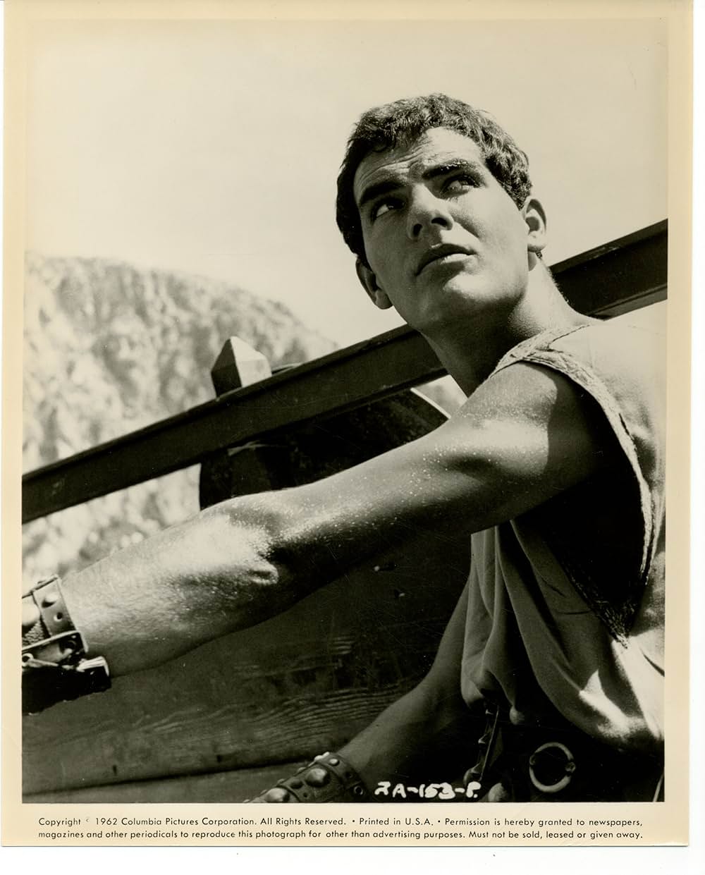 アルゴ探検隊の大冒険の画像