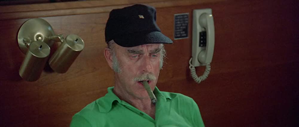 イルカの日の画像