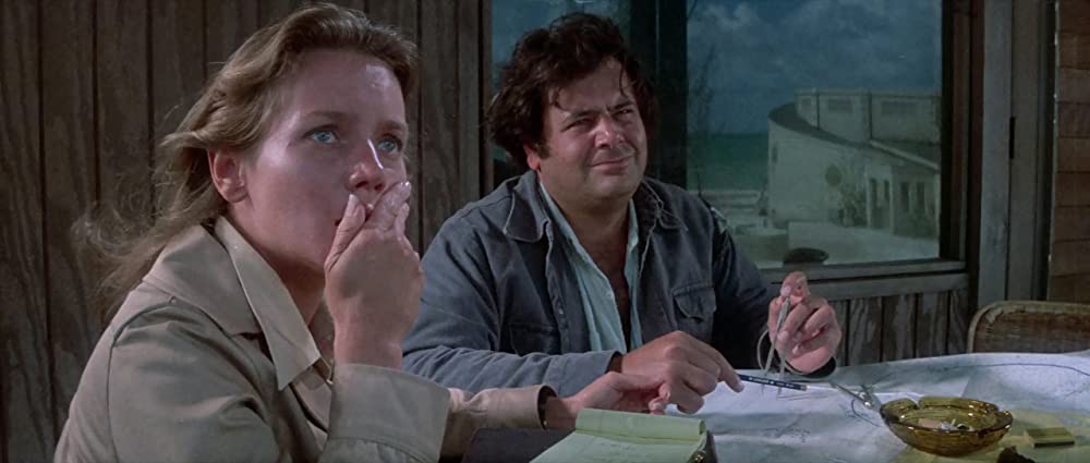 イルカの日の画像