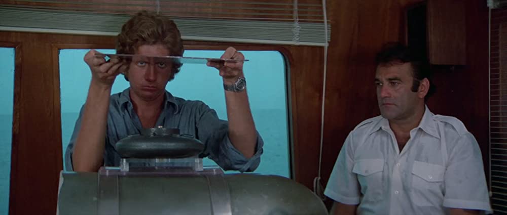 イルカの日の画像