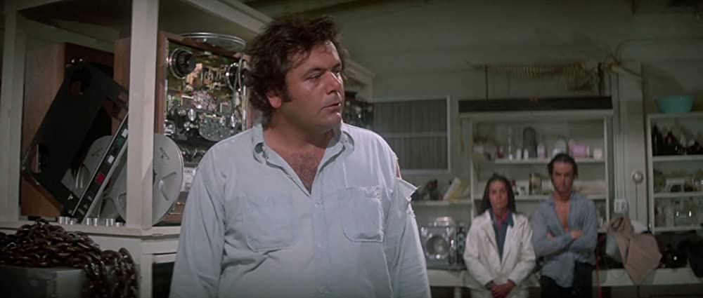 イルカの日の画像