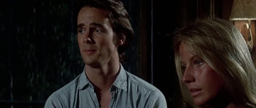 イルカの日の画像