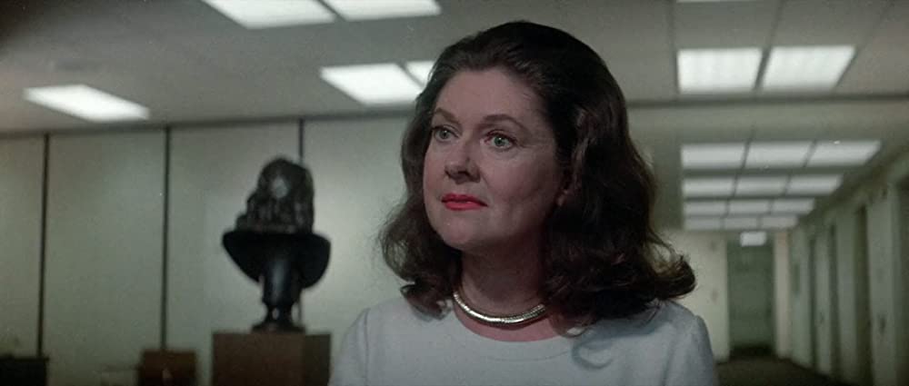 イルカの日の画像