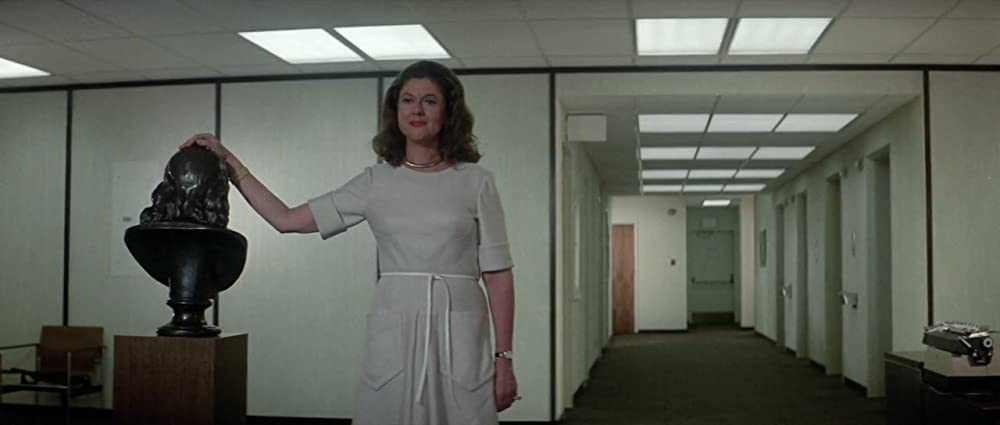 イルカの日の画像