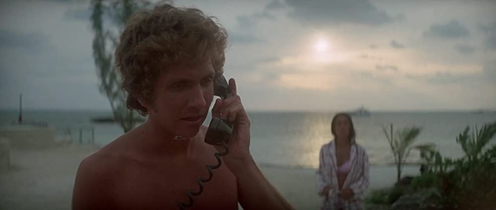 イルカの日の画像