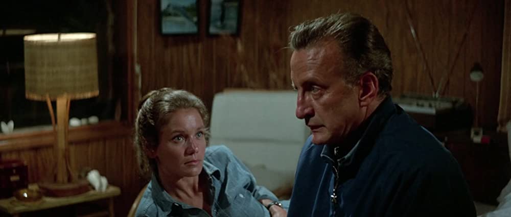 イルカの日の画像