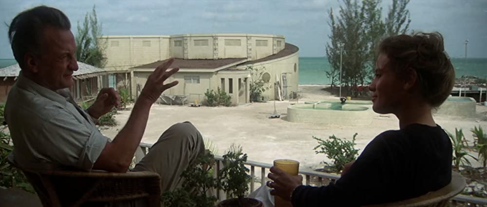 イルカの日の画像