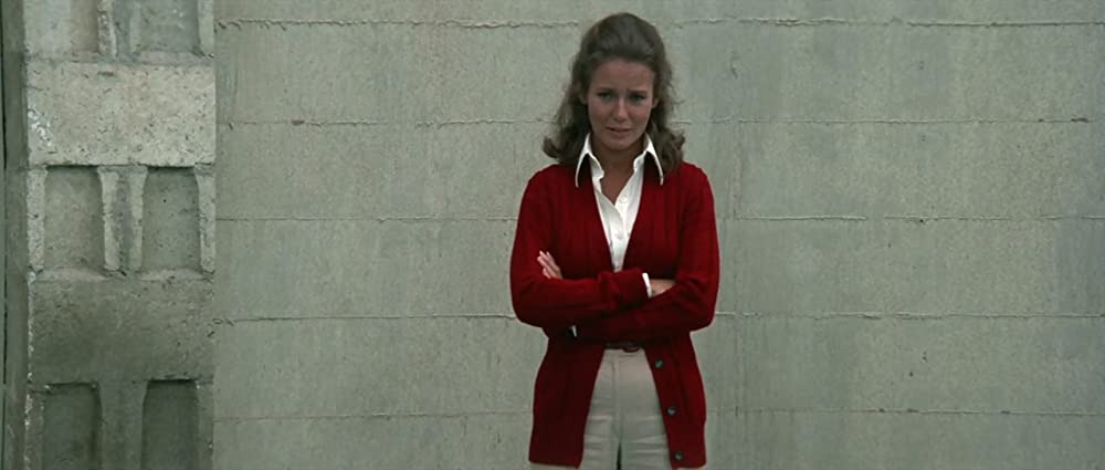 イルカの日の画像