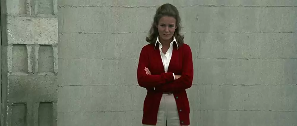 「イルカの日」トリッシュ・バン・ディーバーの画像