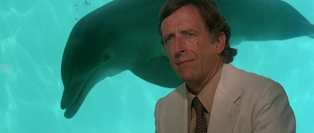 イルカの日の画像