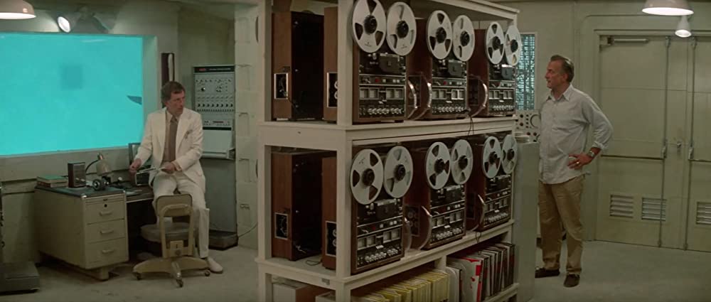 イルカの日の画像