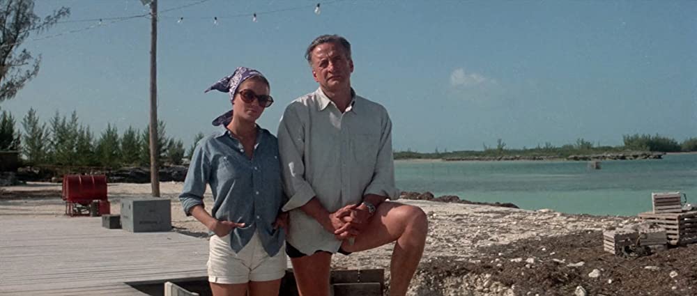 イルカの日の画像