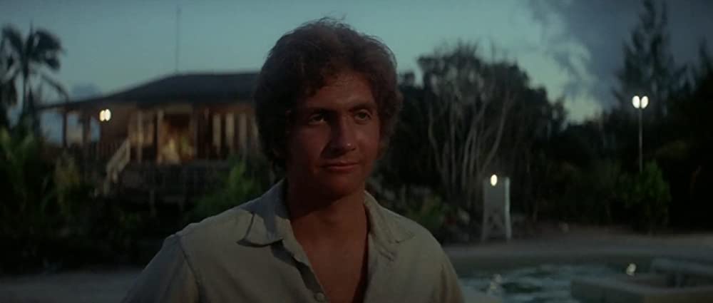 イルカの日の画像