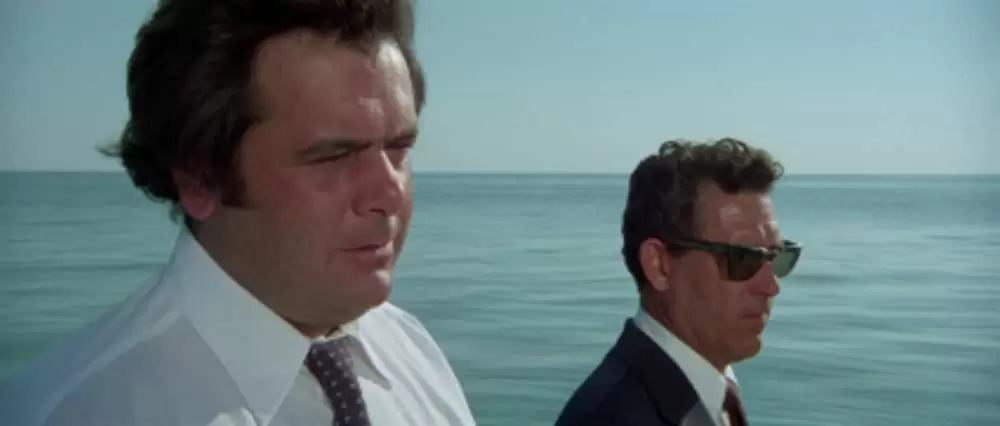 イルカの日の画像