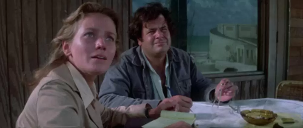 イルカの日の画像