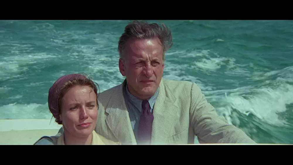 イルカの日の画像