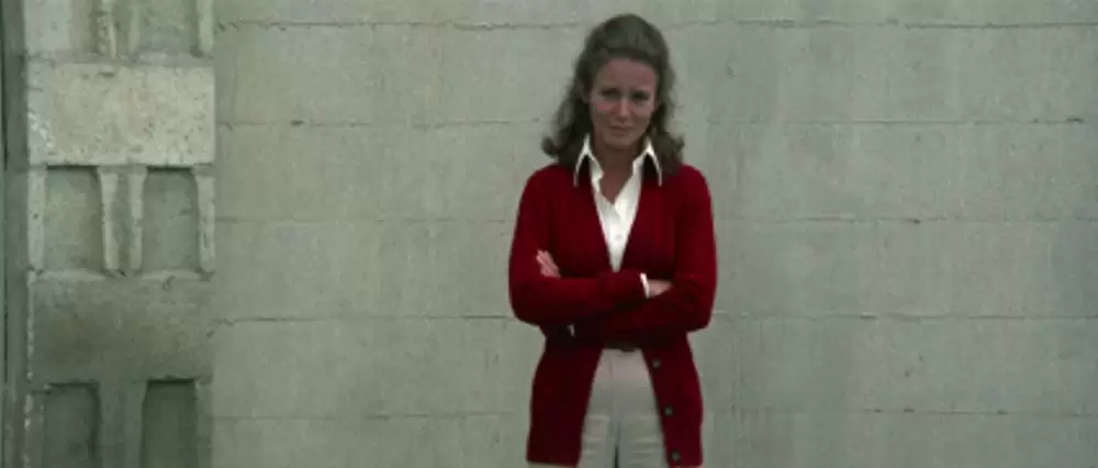 イルカの日の画像