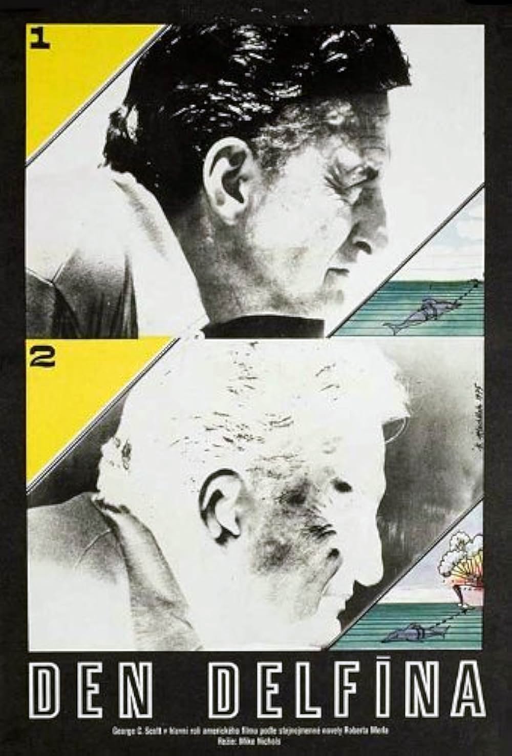 イルカの日の画像