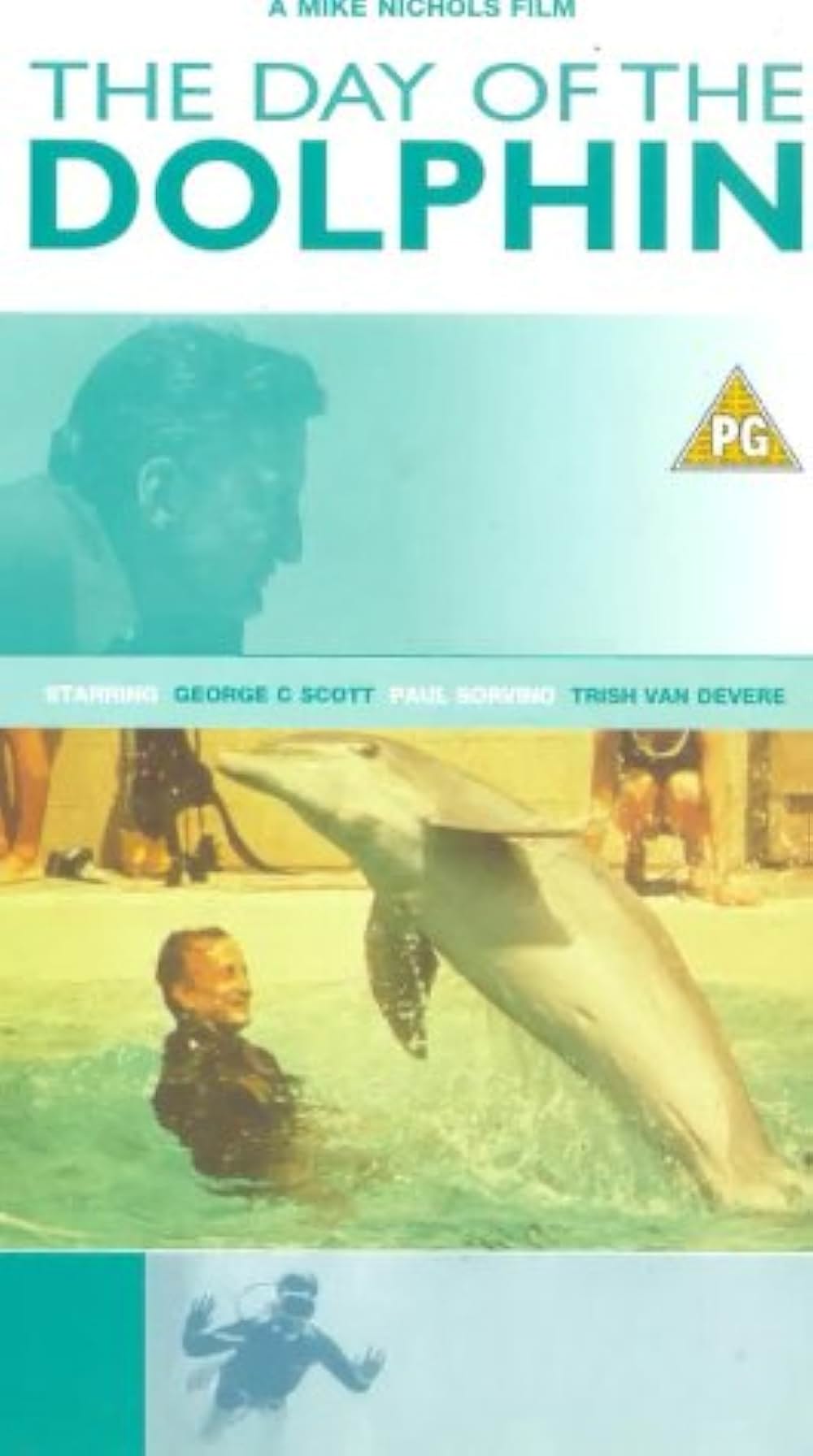 イルカの日の画像