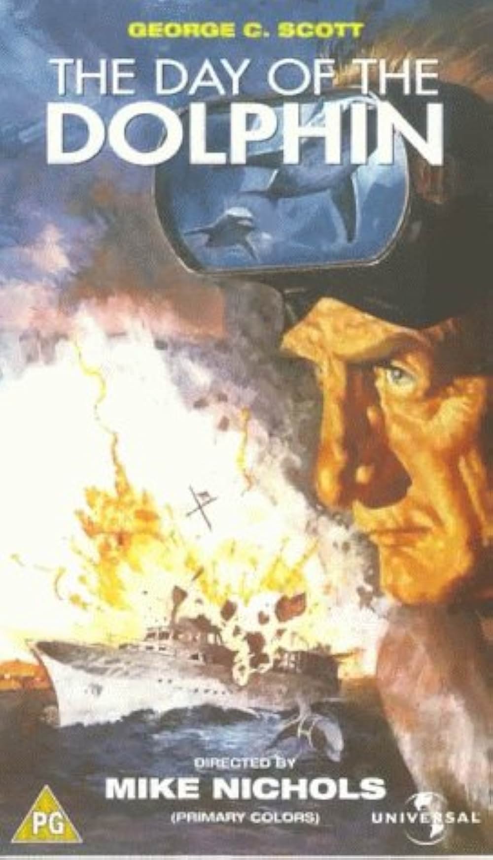 イルカの日の画像