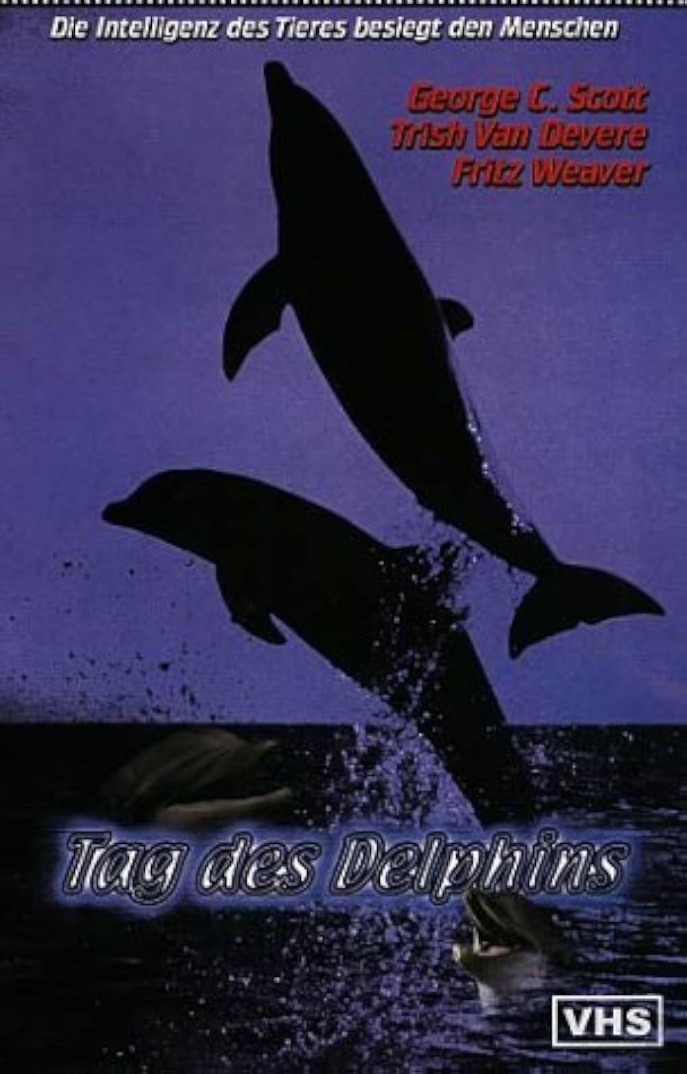 イルカの日の画像