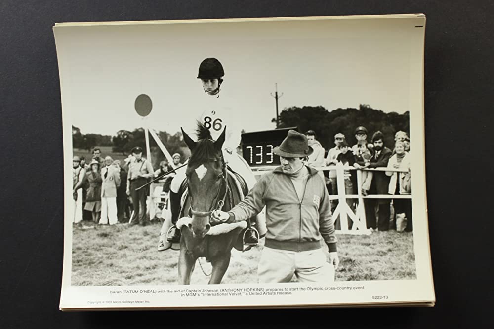インターナショナル・ベルベット／緑園の天使の画像