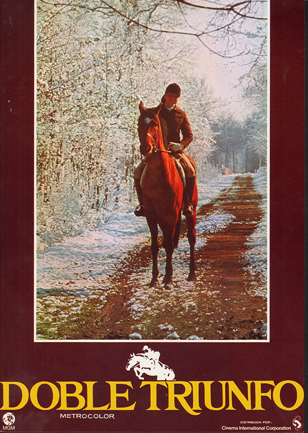 インターナショナル・ベルベット／緑園の天使の画像