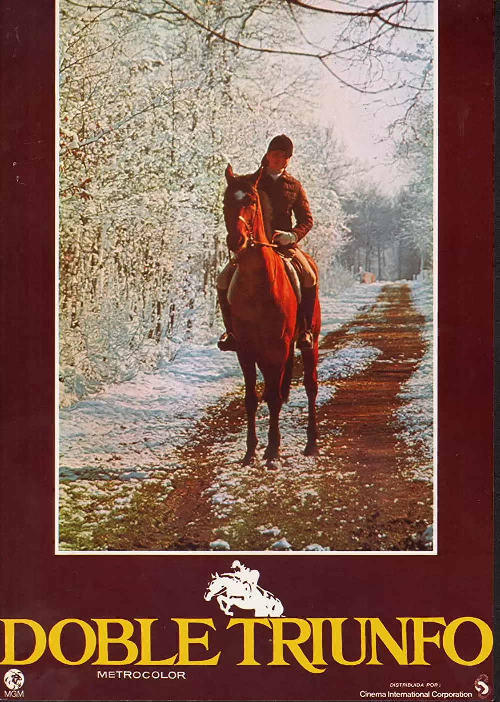 インターナショナル・ベルベット/緑園の天使の画像