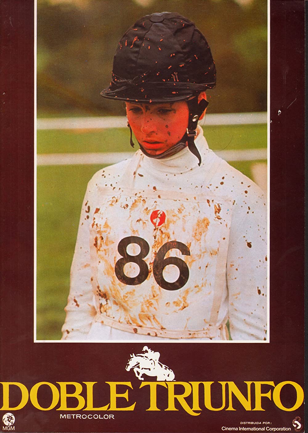 インターナショナル・ベルベット／緑園の天使の画像