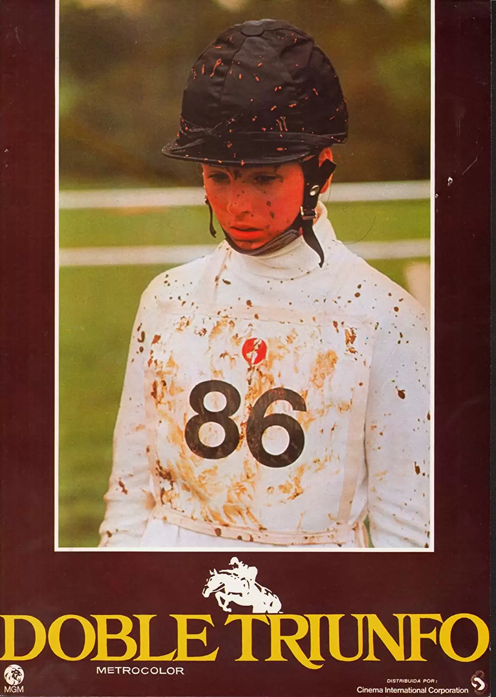 インターナショナル・ベルベット/緑園の天使の画像