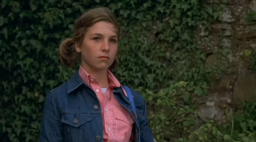 インターナショナル・ベルベット/緑園の天使の画像