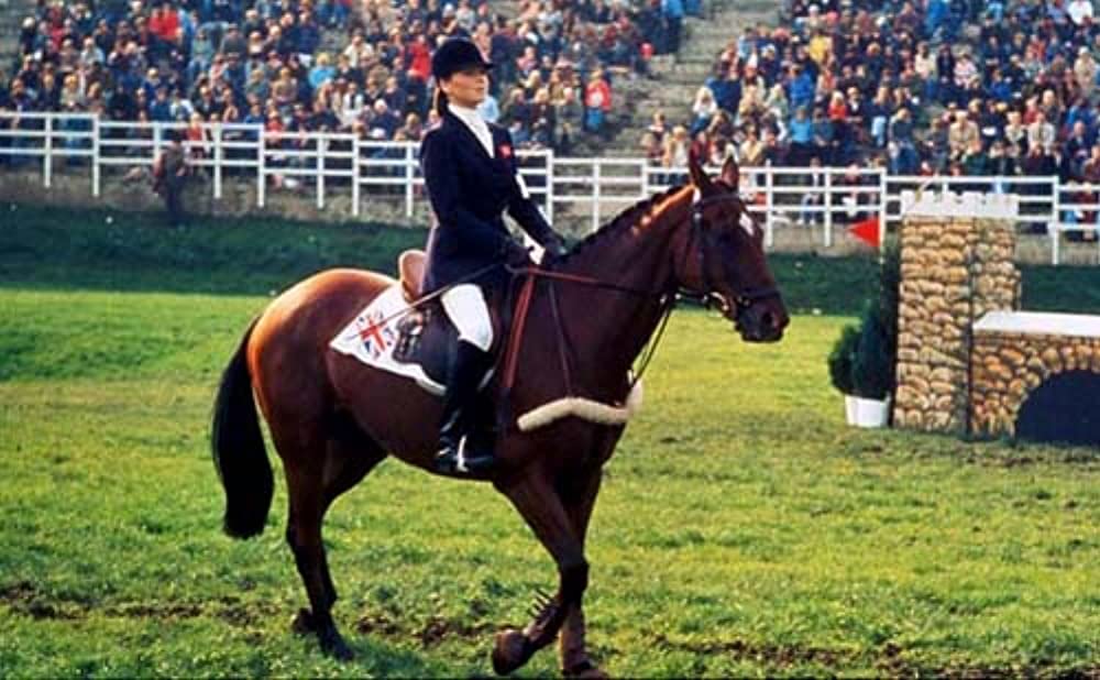 インターナショナル・ベルベット／緑園の天使の画像