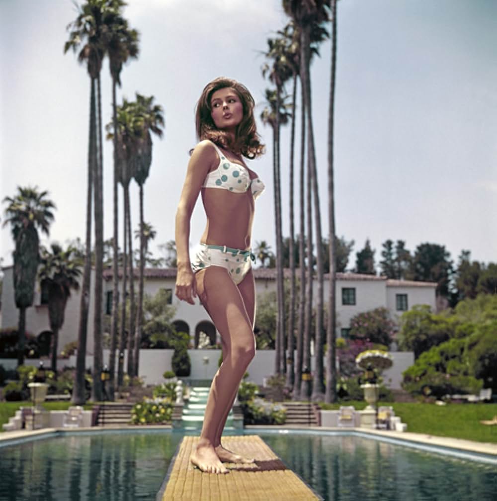 動く標的の画像