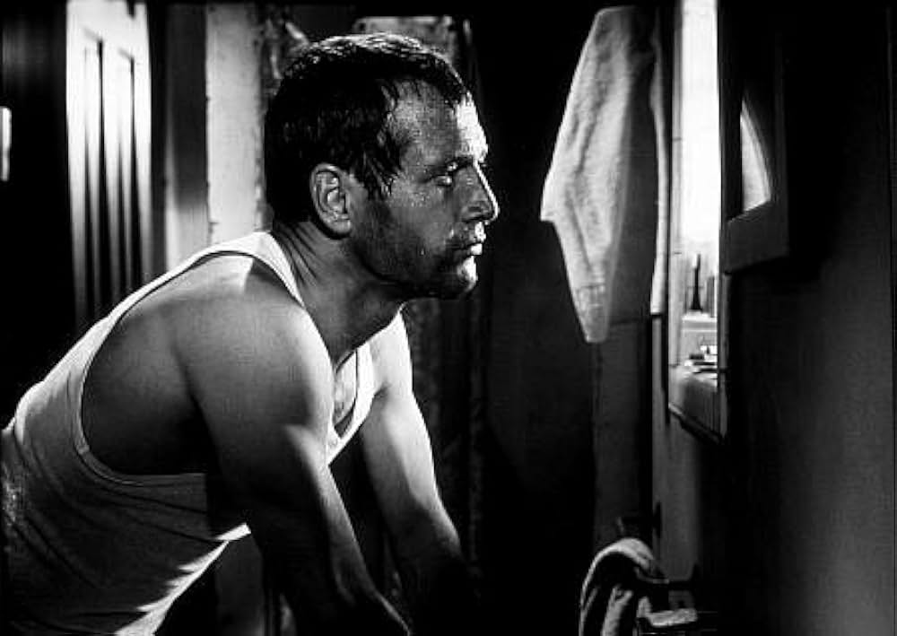 動く標的の画像