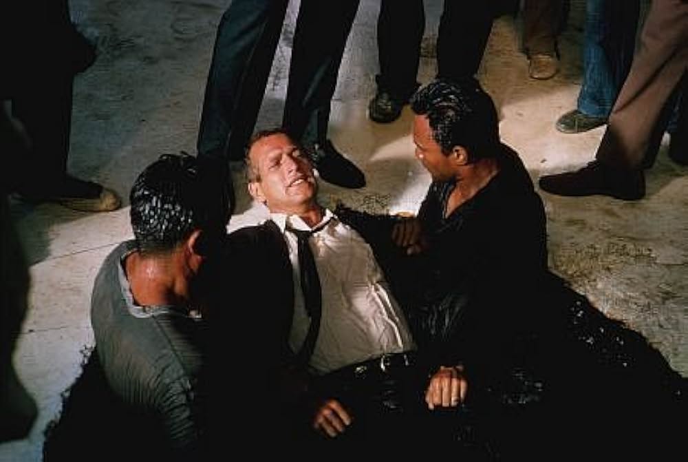 動く標的の画像