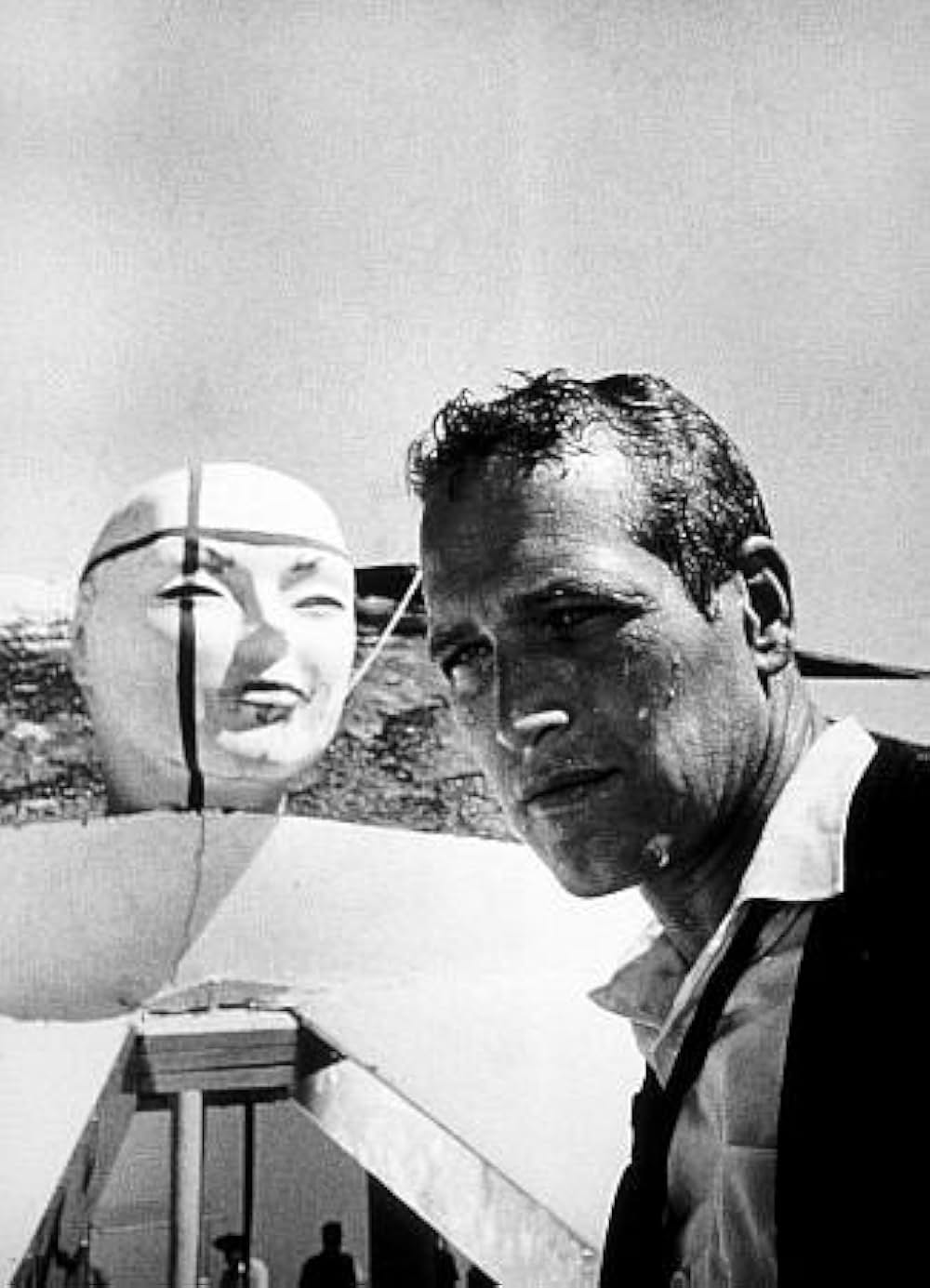 動く標的の画像