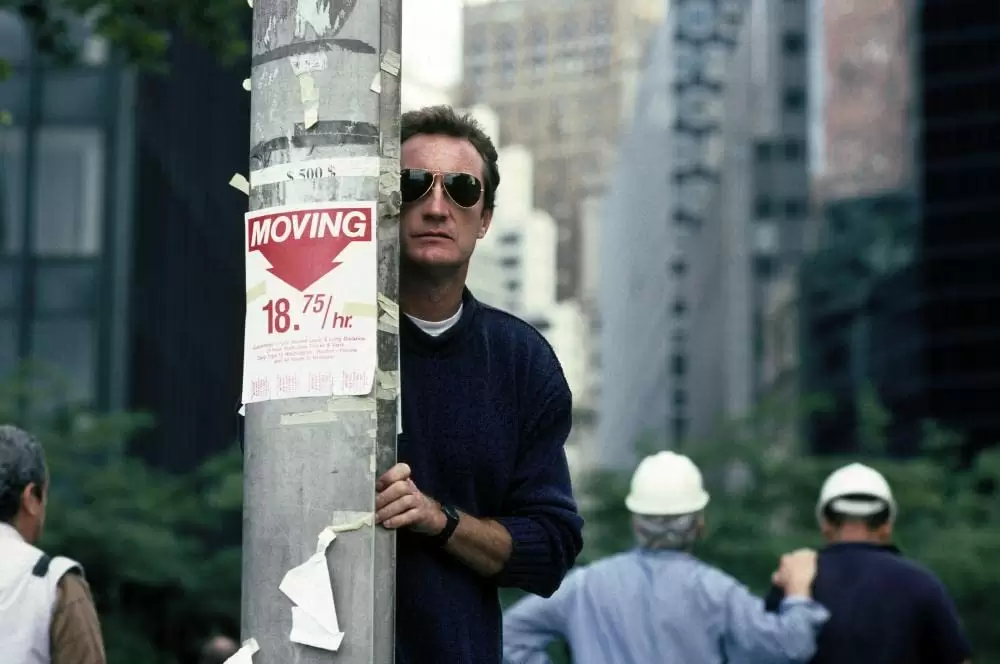 「F／X2 イリュージョンの逆転」ブライアン・ブラウンの画像