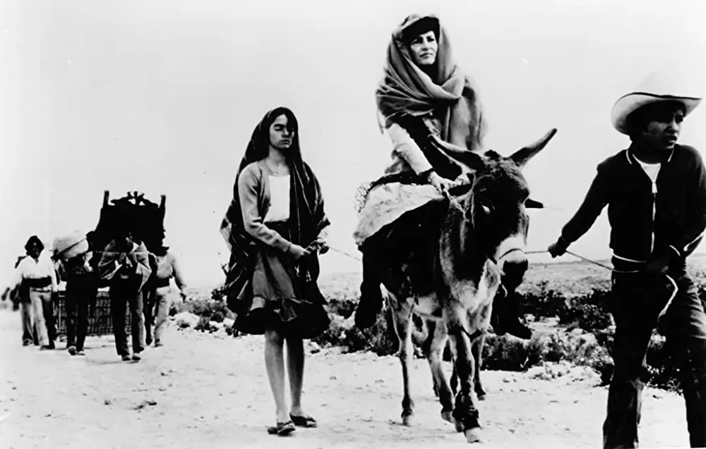 エレンディラの画像