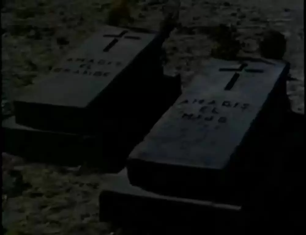 エレンディラの画像