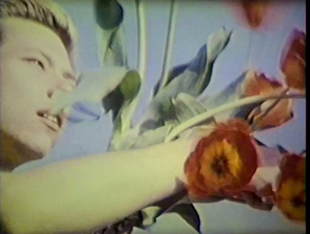 エンジェリック・カンヴァセーションの画像