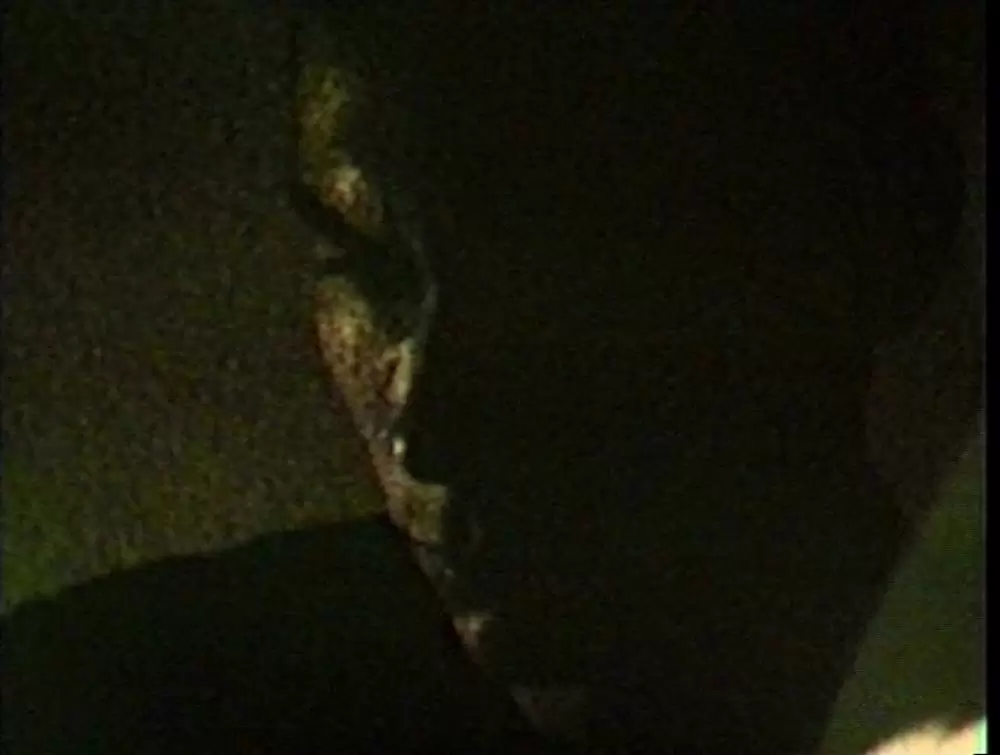 エンジェリック・カンヴァセーションの画像