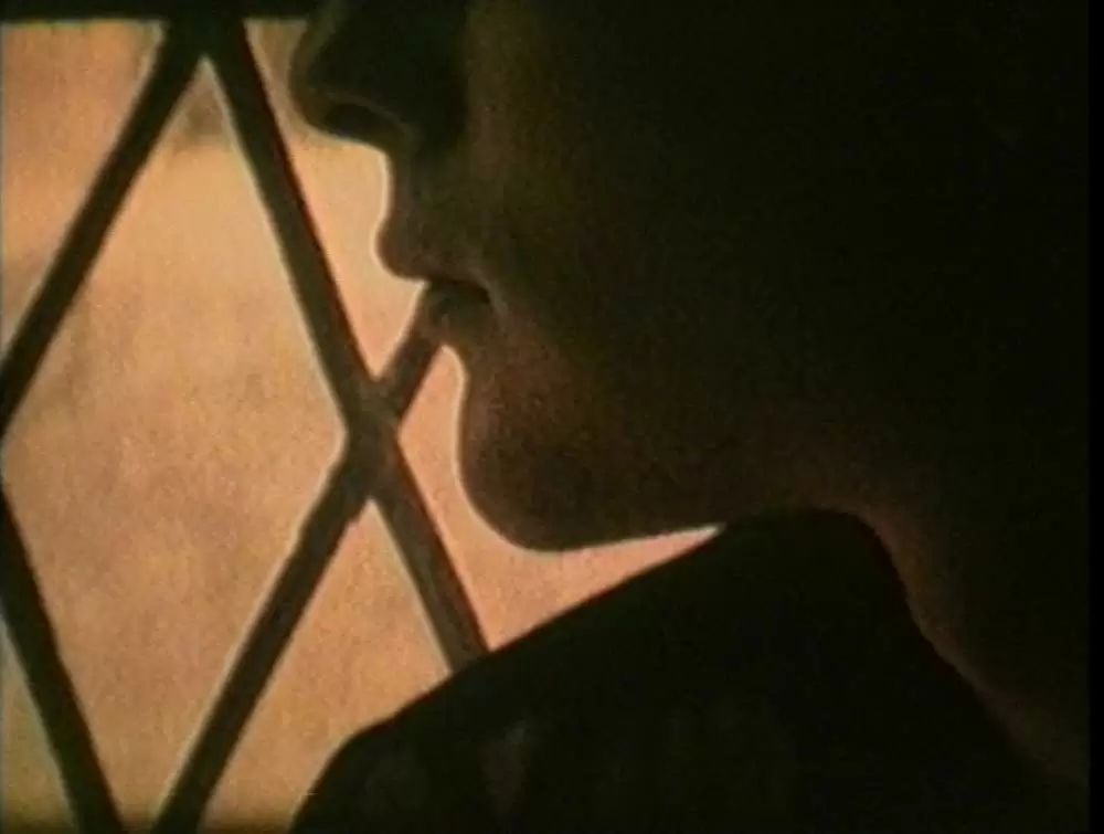 エンジェリック・カンヴァセーションの画像