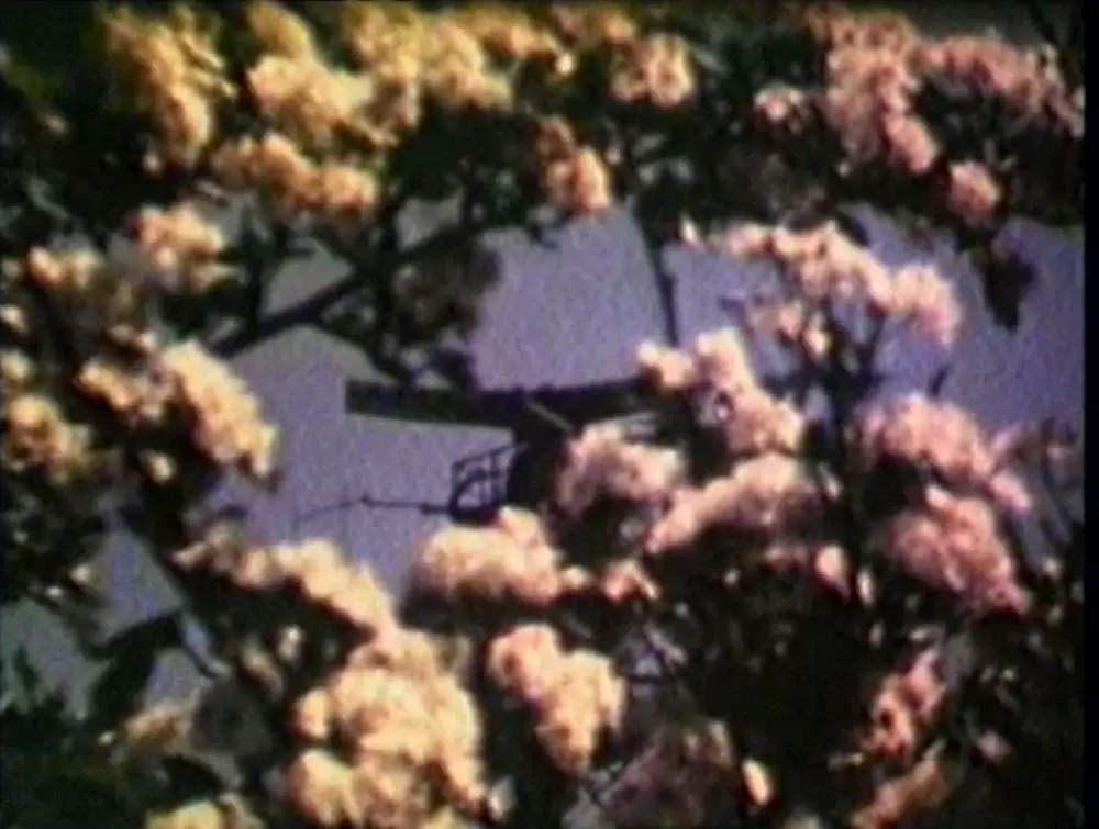 エンジェリック・カンヴァセーションの画像