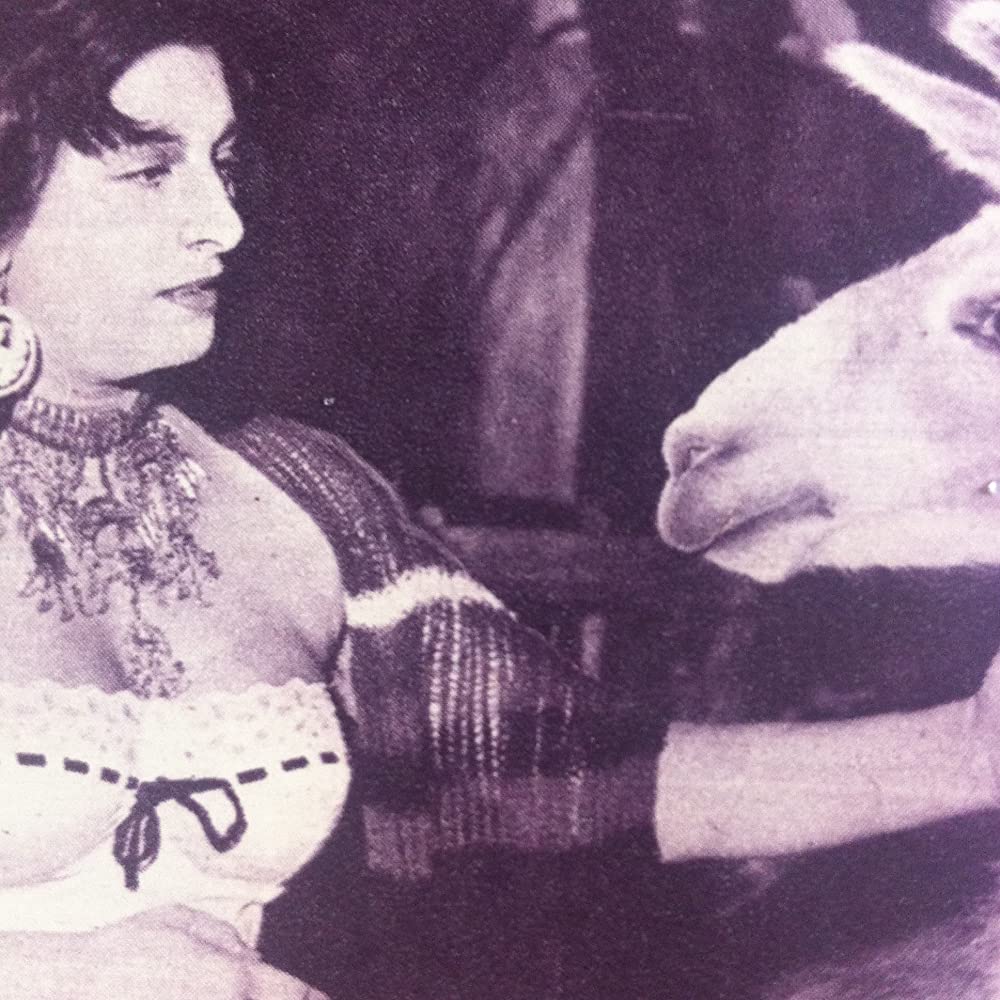 黄金の馬車の画像