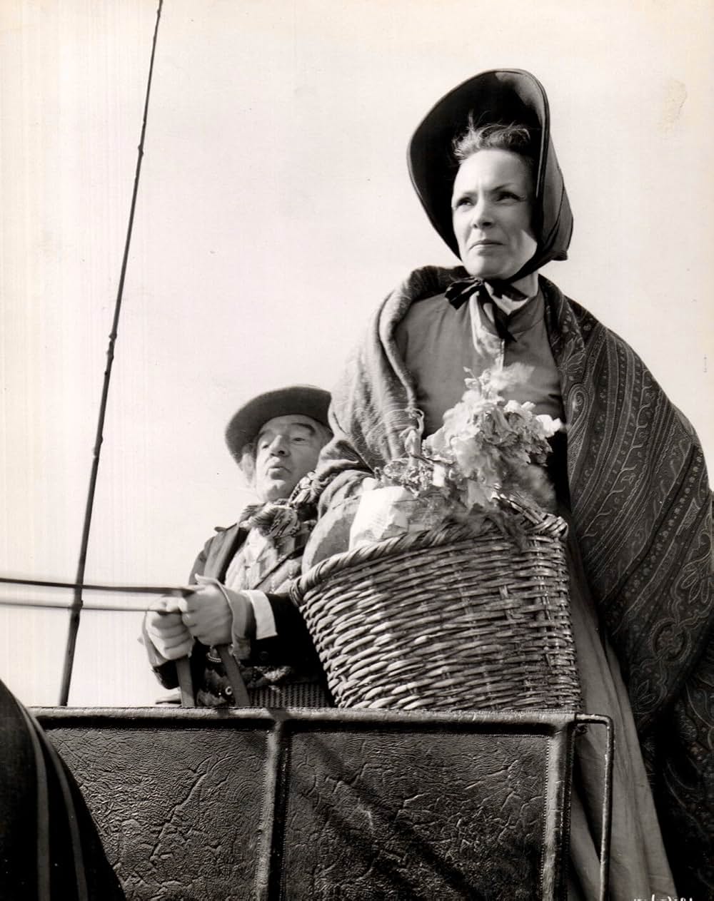 大いなる遺産の画像