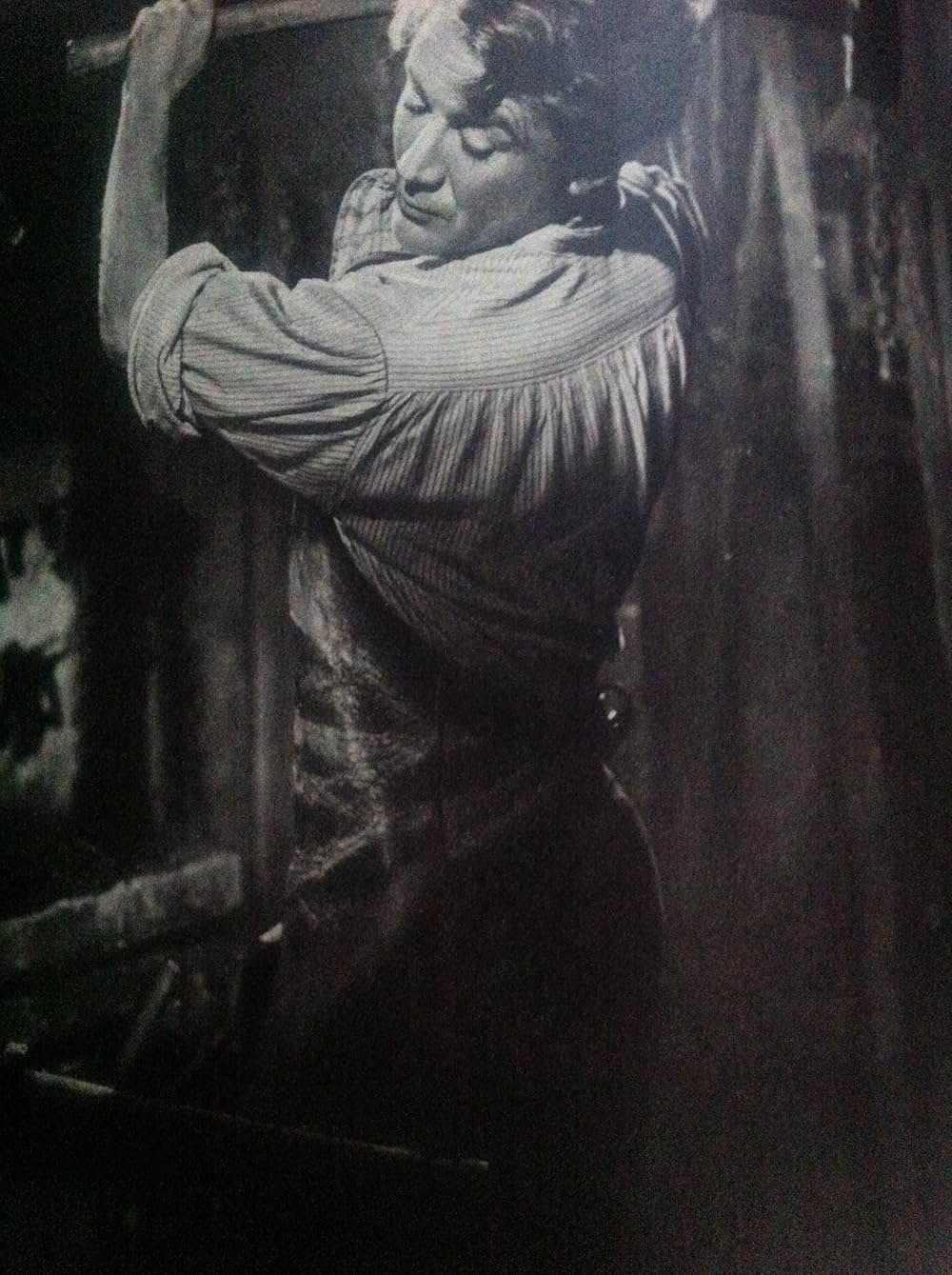 大いなる遺産の画像