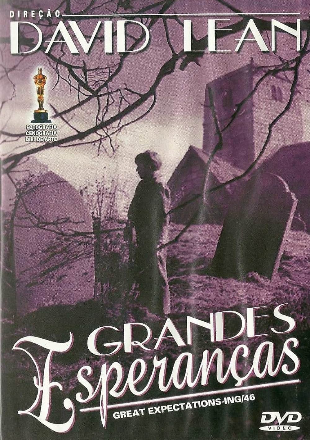 大いなる遺産の画像