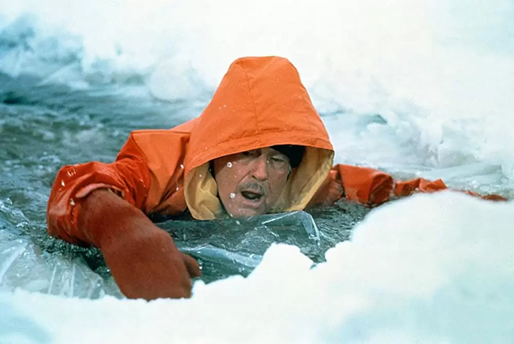 オーメン2／ダミアンの画像