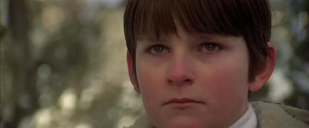 オーメン2／ダミアンの画像